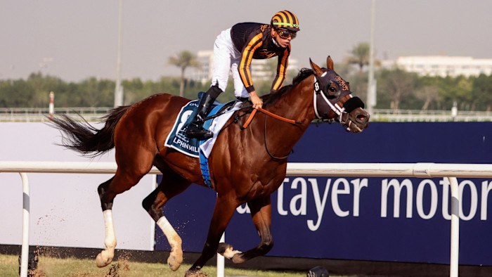 Horsepower: former F1 executive launches equine venture