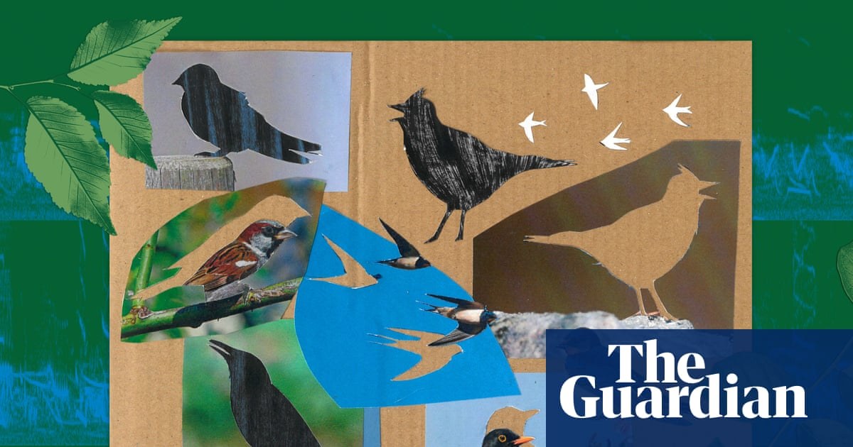 Listen to Britain’s dawn chorus of 1976: the dramatic loss of birdsong in 50 years