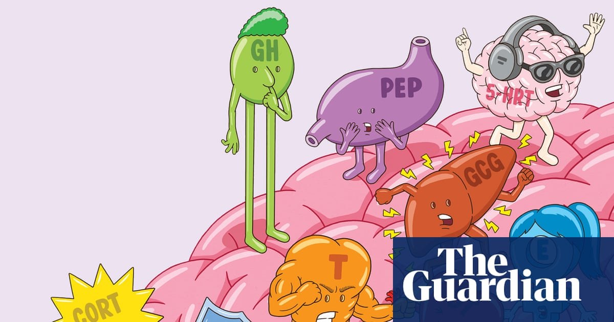 Hormones on the brain? Everything you need to know about HRT, testosterone, melatonin and more