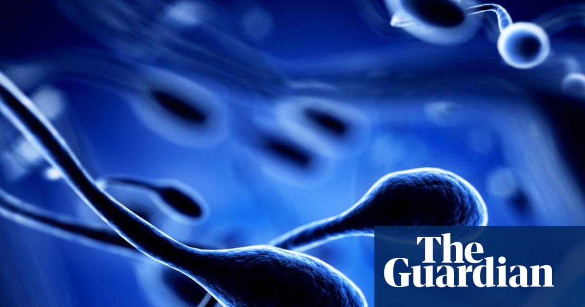 Air pollution linked to DNA changes in sperm, research shows
