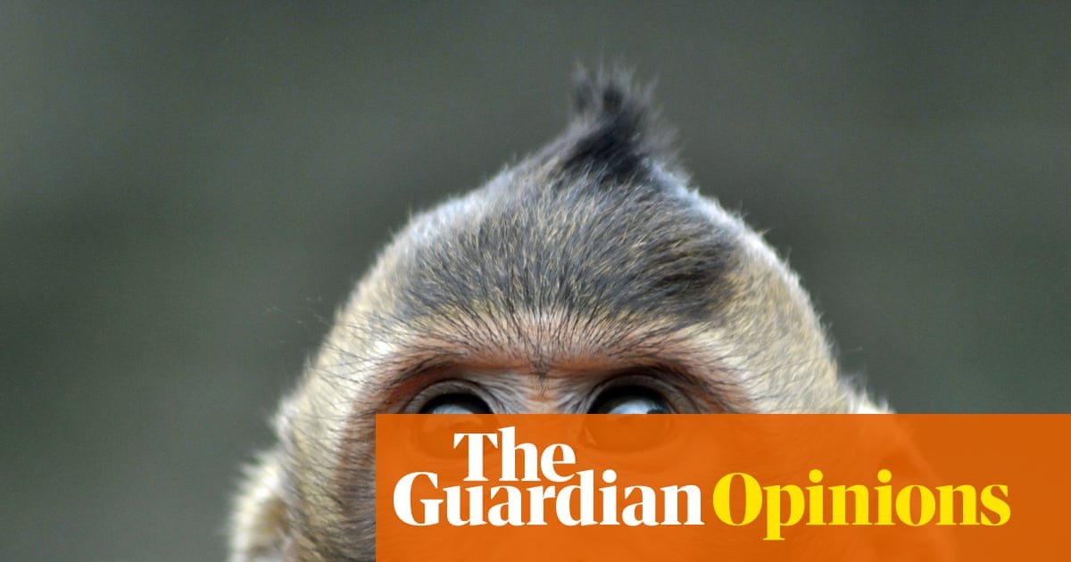 Do animals experience time the same way humans do? Here's one way to find out