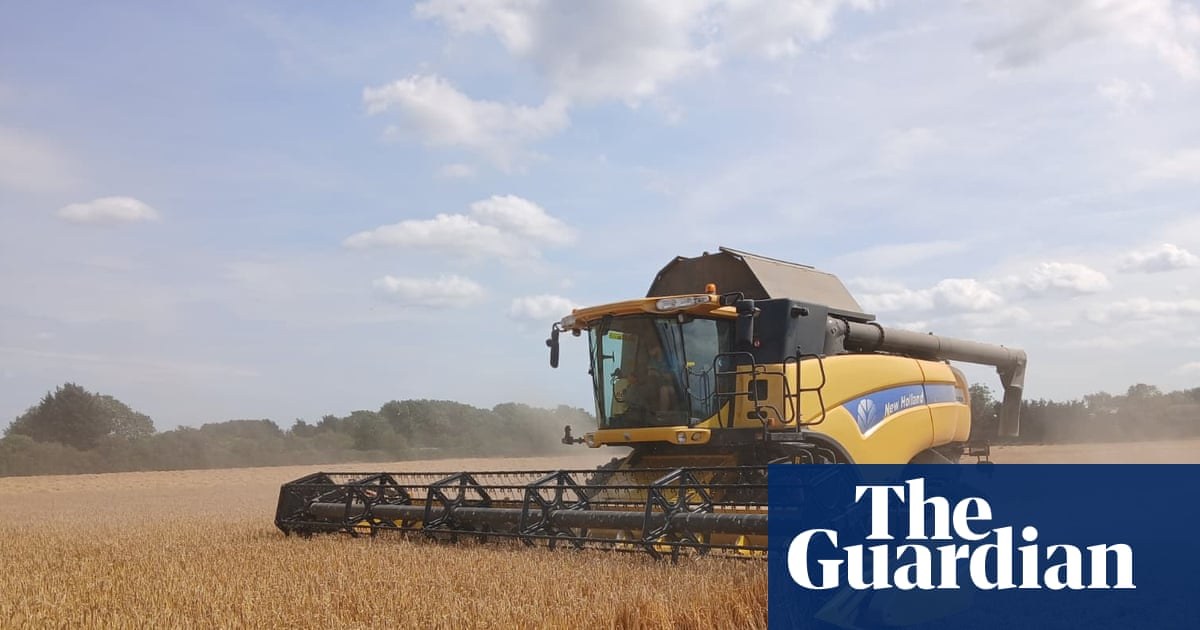 Country diary: Harvest time has arrived – and it’s three weeks earlier than 20 years ago