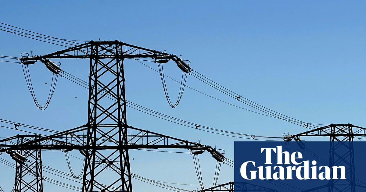 Lawyers to investigate claims of GB power grid cover-up over blackout risk