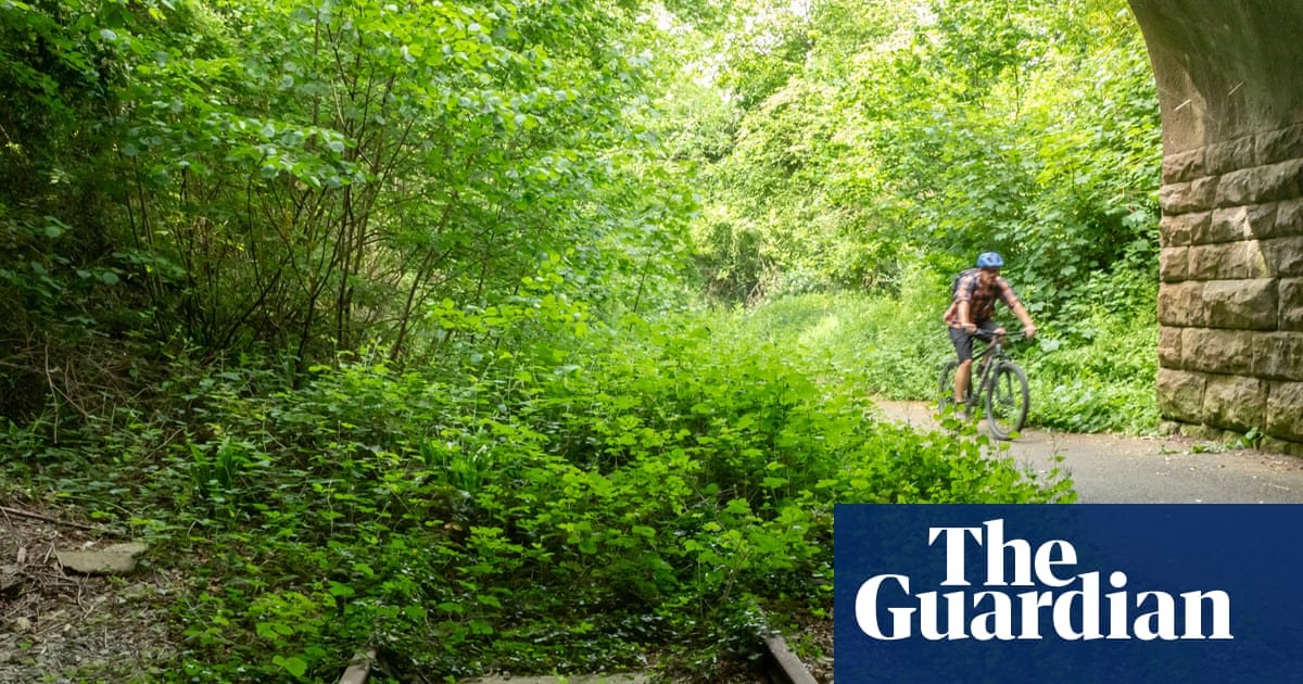Country diary: The rewards of sloping off down an old railway line