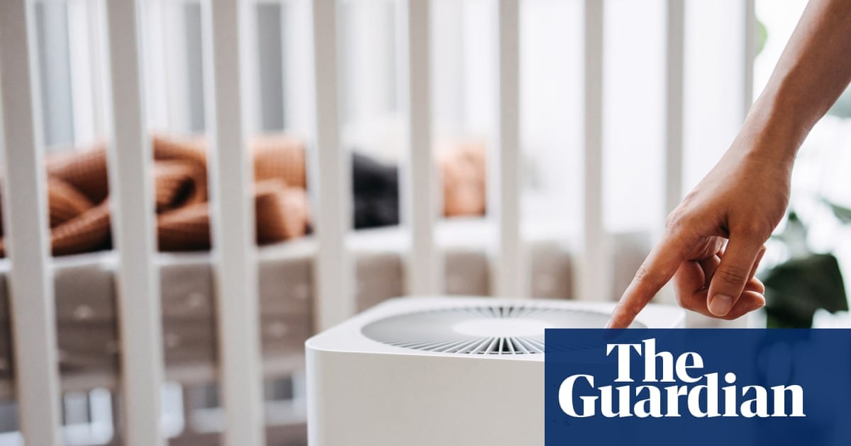What does an air purifier do and can it help with wildfire smoke?