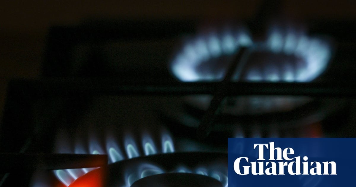 Replacing gas stove can help asthmatics as much as some drugs, US experts find