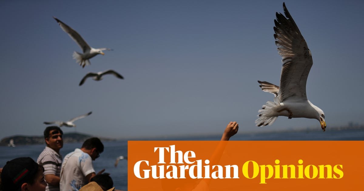 I thought my life would feel sorted when I turned 40. It doesn’t – and that’s OK