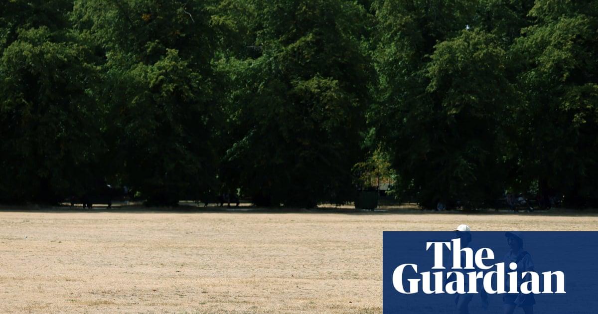 Half of England officially in ‘exceptionally serious’ drought
