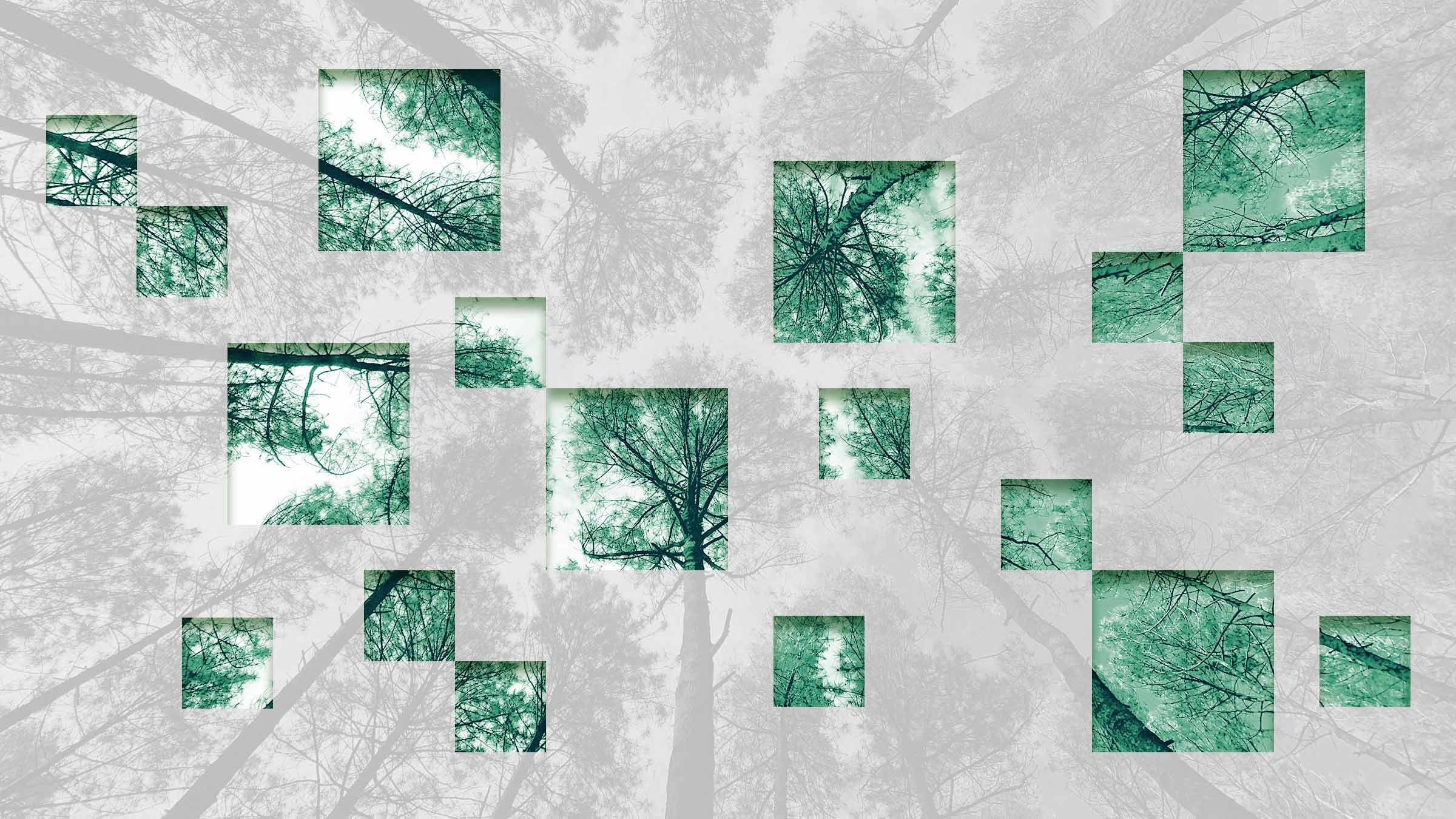 AI Can Measure How ESG Really Impacts the Bottom Line