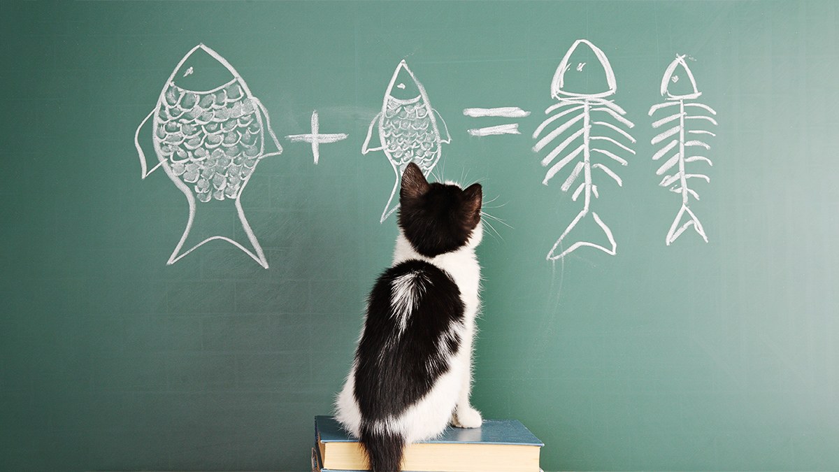 How to Ensure Your Company Acts on Your New Strategy