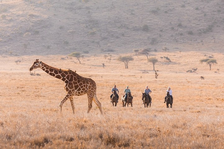 Planning a safari? Here’s what you should know before you go.