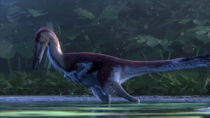 A raptor in the snow and a helicopter escape