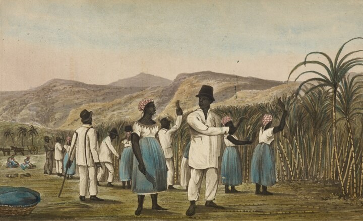 The search for enslaved ancestors often hits a wall. Can new tools break it?