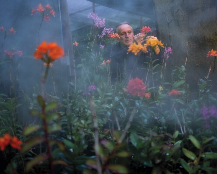 The stunningly beautiful quest to save the world’s rarest orchids