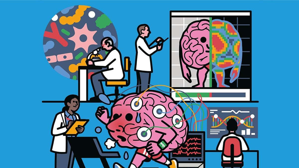 How healthy is your brain? We now know how to find out