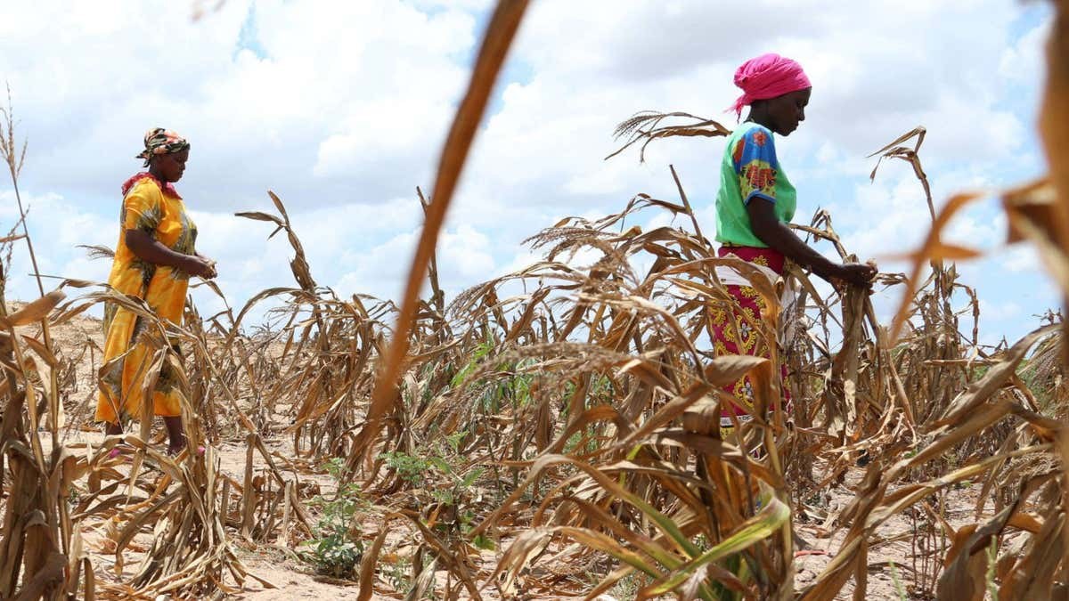 Global warming already causing crop losses of over $20 billion a year
