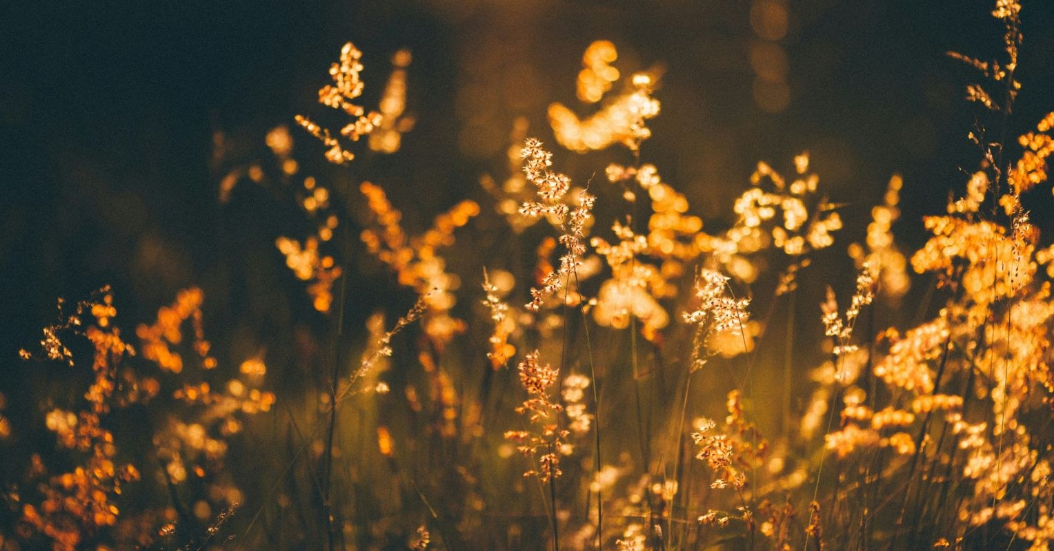 Finding More Humor, Hope, and Joy in Everyday Life