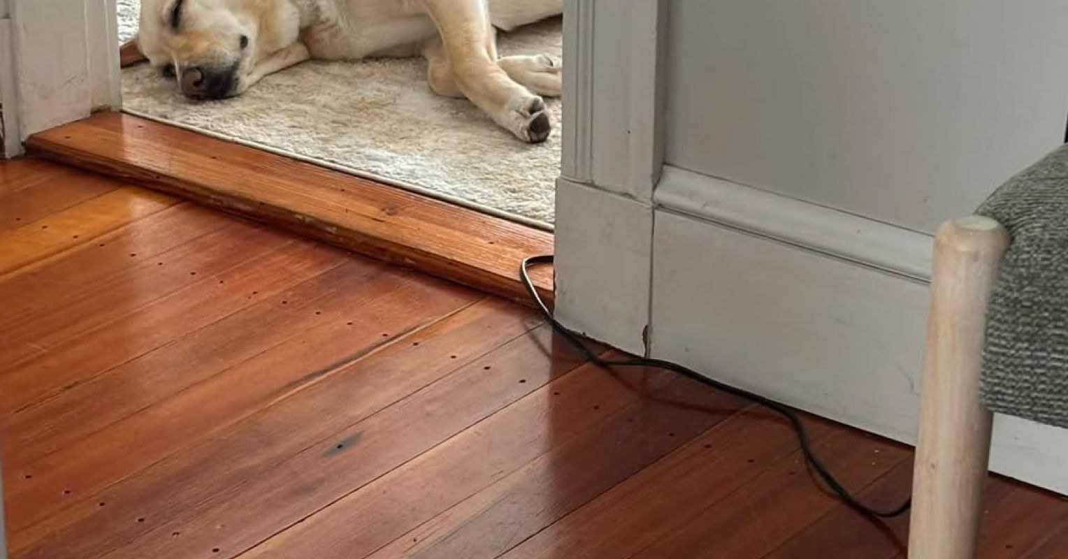 When in Doubt, Cry (or Bark) It Out