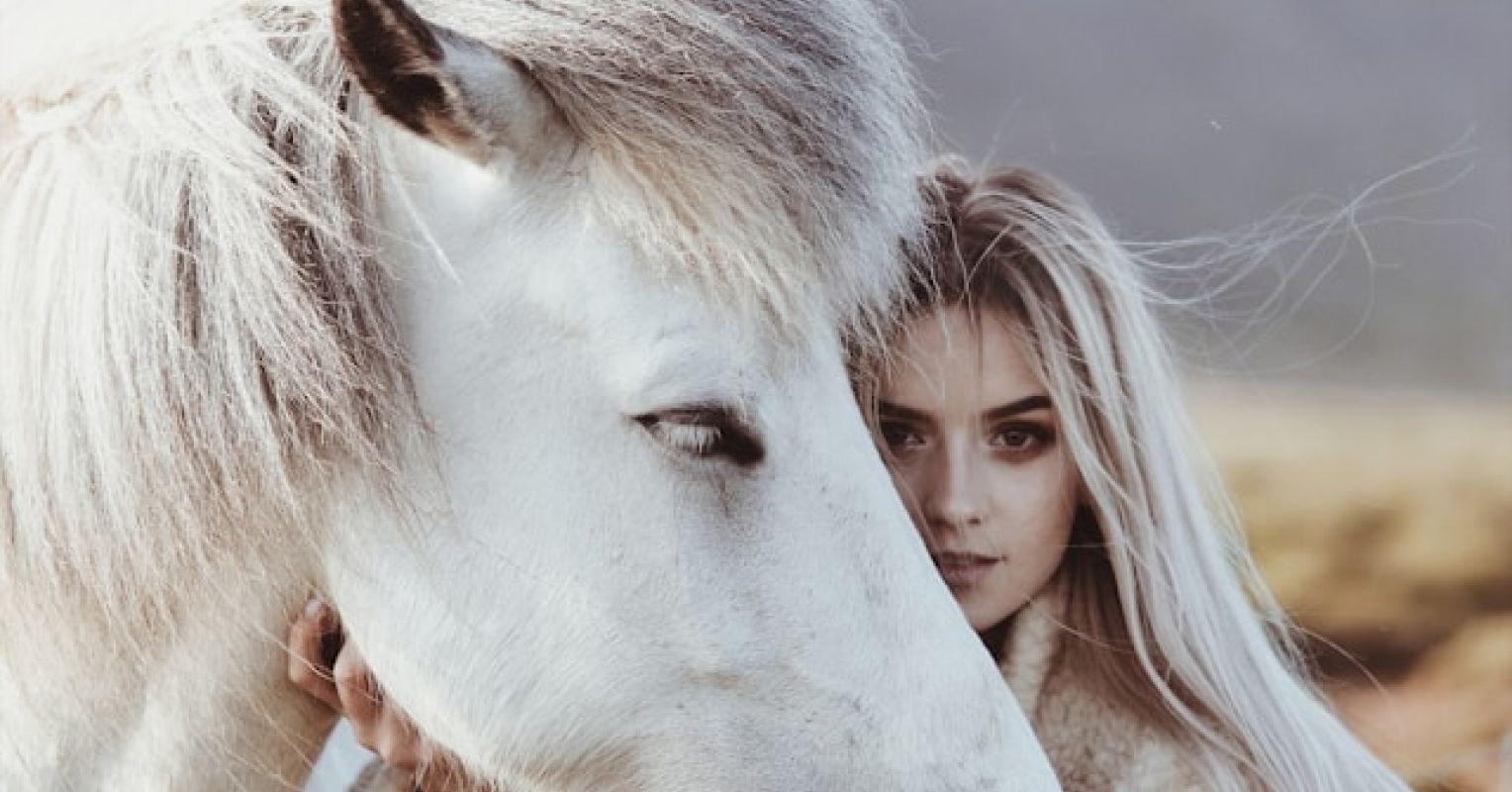 Do You Feel a Special Connection to Animals?