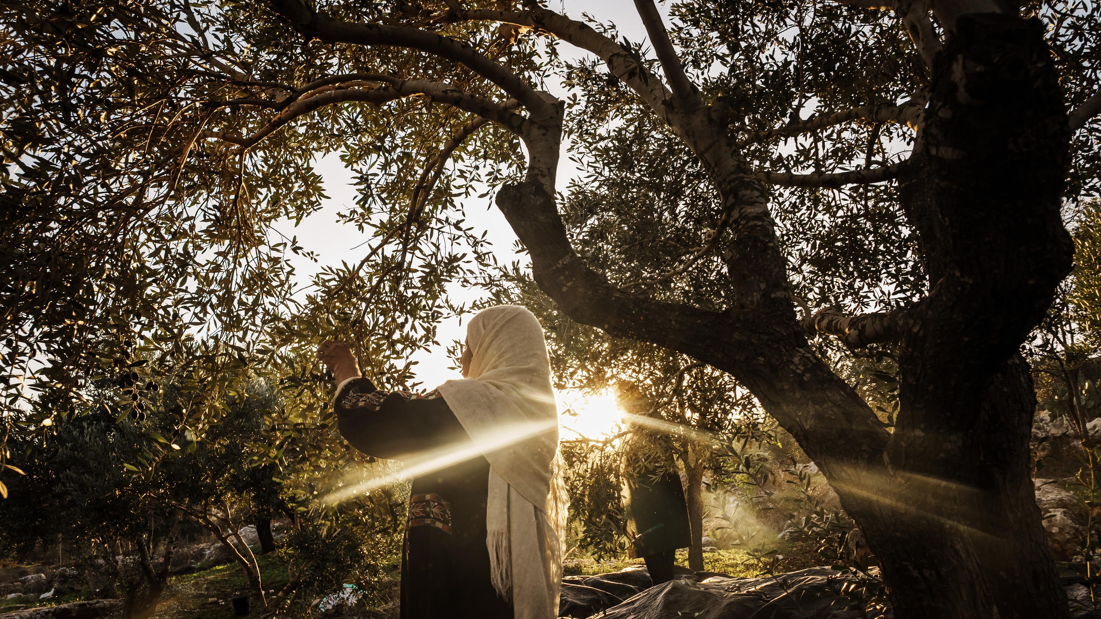 The Unimaginable Trauma—And Resilience—of the People of Gaza