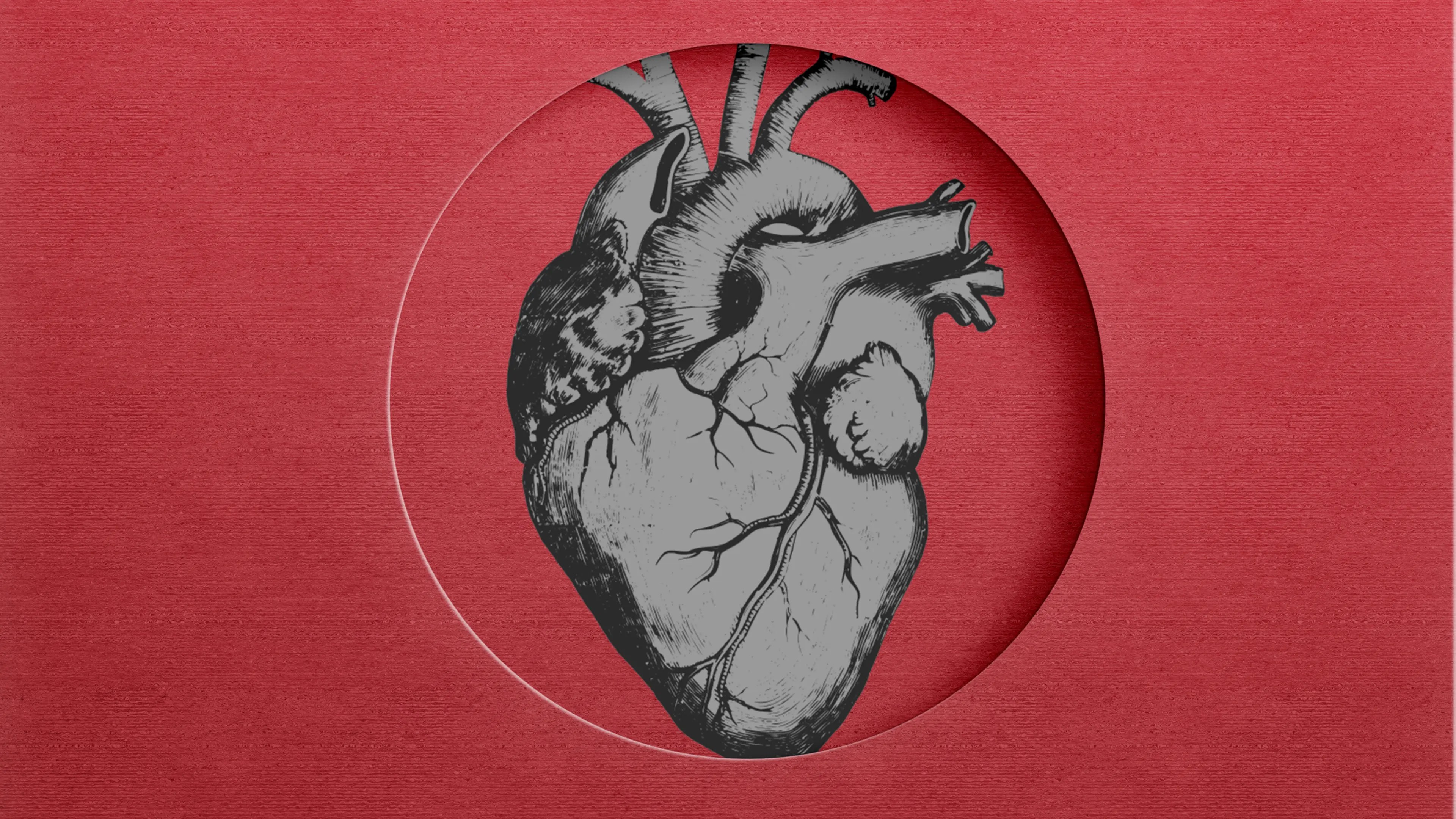The Emerging Link Between Microplastics and Heart Disease