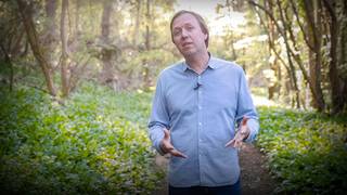 我们如何使用人工智能发现新抗生素