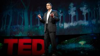 那些科学家们仍未探索的神往之地