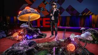 于悲伤时期致现实主义的一封情书