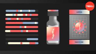 黑客：网络的免疫系统