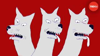 我们体内的微生物是、如何塑造了我们