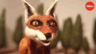 为可持续发展全力以赴