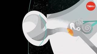 为什么蜜蜂逐渐在消失