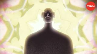 输血的原理是什么？- 比尔 · 舒特