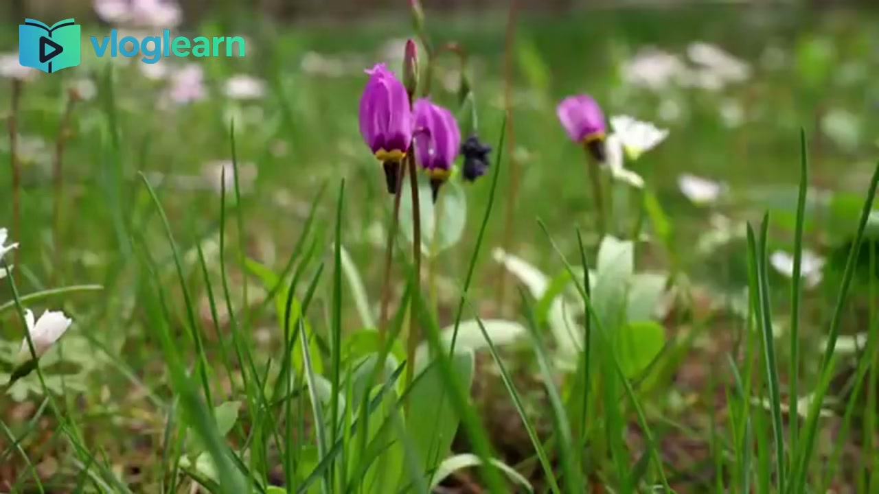 终于活成了理想的样子，内心却无比空虚