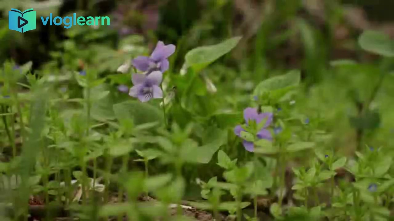 消失这么久，我到底去了哪