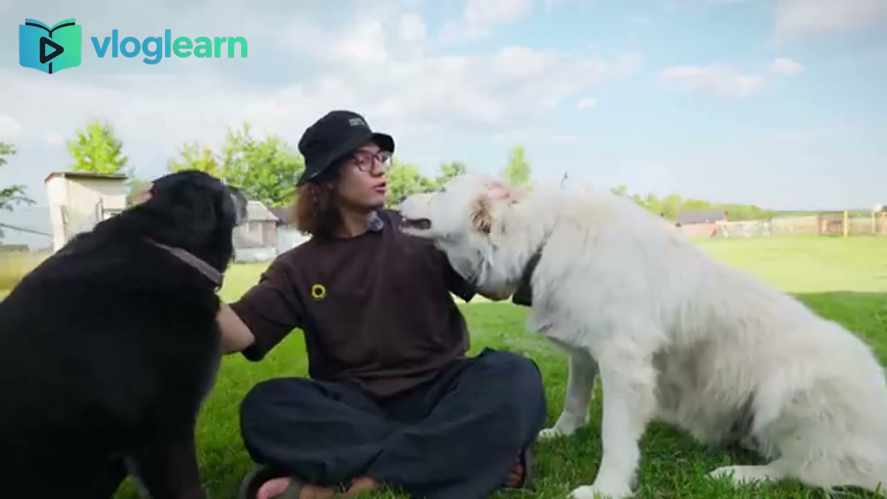加拿大真实生活实录 🇨🇦 沉浸式自然学英语