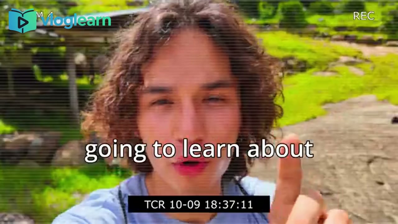 边旅行边学英语！