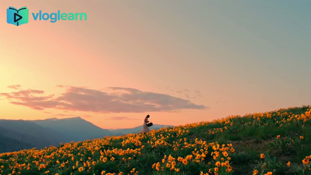 种子破土而出的生命感悟：别让匆忙偷走此刻