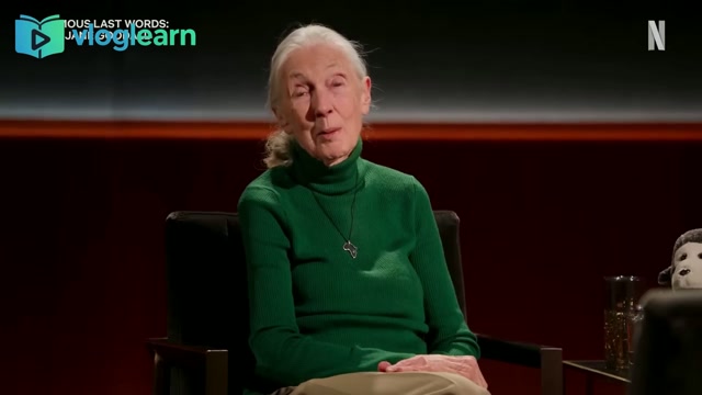 跨越维度的告别信：关于意义、行动与生命延续的思考