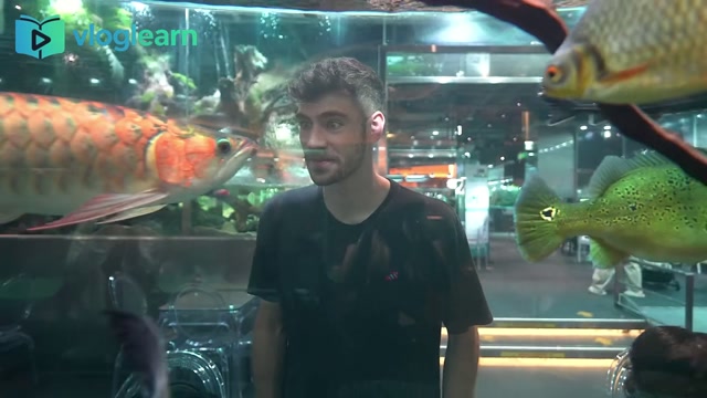在水族馆喝拿铁：首尔乐天塔内的梦幻奇境